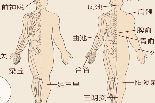 找肾俞的最简单的方法