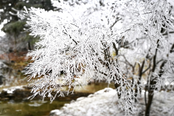 小雪的节气特点