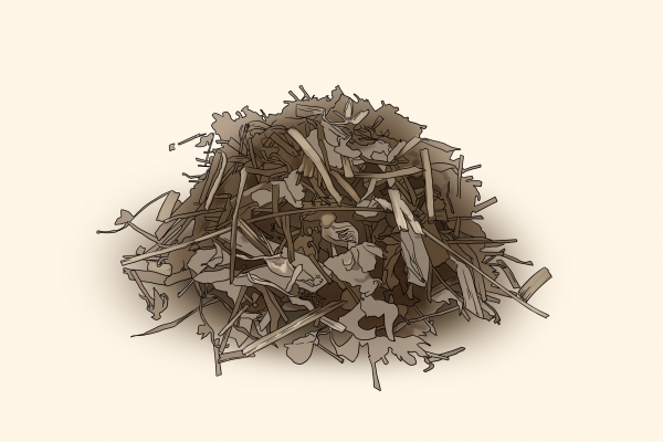 长期喝老鹳草可以吗